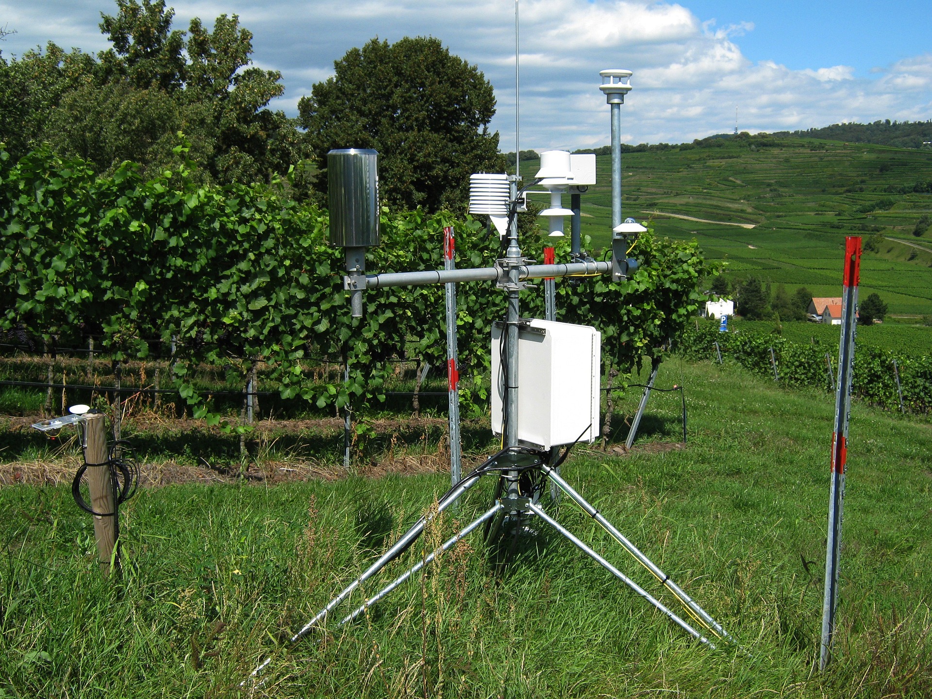 Irrigation and fertilization